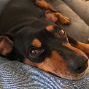 Meet your Posher, Lori